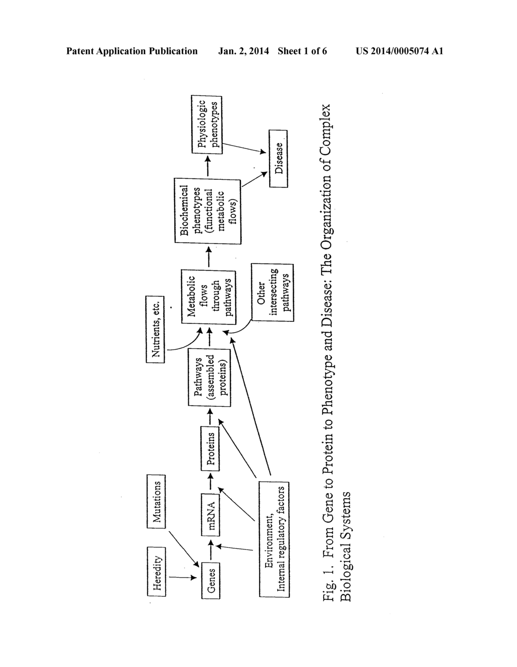 METHOD FOR AUTOMATED, LARGE-SCALE MEASUREMENT OF THE MOLECULAR FLUX RATES     OF THE PROTEOME OR THE ORGANEOME USING MASS SPECTROMETRY - diagram, schematic, and image 02