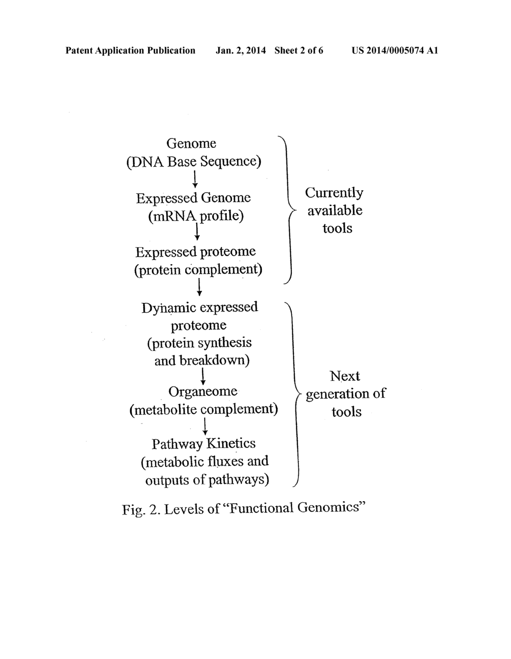 METHOD FOR AUTOMATED, LARGE-SCALE MEASUREMENT OF THE MOLECULAR FLUX RATES     OF THE PROTEOME OR THE ORGANEOME USING MASS SPECTROMETRY - diagram, schematic, and image 03