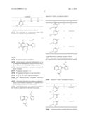 USE OF ACETYLATED TUBULIN AS A BIOMARKER OF DRUG RESPONSE TO     FURAZANOBENZIMIDAZOLES diagram and image