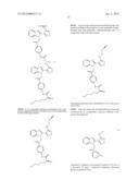 USE OF ACETYLATED TUBULIN AS A BIOMARKER OF DRUG RESPONSE TO     FURAZANOBENZIMIDAZOLES diagram and image