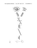 DEGRADABLE POLYMERS, METHODS OF MAKING THE SAME, AND USES THEREOF diagram and image