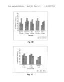 METHOD OF EXTRACTING KAEMPFEROL-BASED ANTIOXIDANTS FROM SOLENOSTEMMA     ARGHEL diagram and image