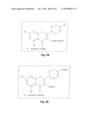 METHOD OF EXTRACTING KAEMPFEROL-BASED ANTIOXIDANTS FROM SOLENOSTEMMA     ARGHEL diagram and image