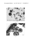 Dissolution of Oxidized Cellulose and Particle Preparation by Solvent and     Non-Solvent Precipitation diagram and image