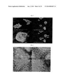 METHOD OF PREPARING RADIOISOTOPE NANOSTRUCTURE WITH LIGAND-METAL FRAMEWORK     AND APPLICATION diagram and image