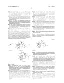 SYNTHETIC TRANSTAGANOLIDE AND BASILIOLIDE PRODUCTS, DERIVATIVES THEREOF,     AND SYNTHESIS METHODS THEREOF diagram and image