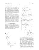 SYNTHETIC TRANSTAGANOLIDE AND BASILIOLIDE PRODUCTS, DERIVATIVES THEREOF,     AND SYNTHESIS METHODS THEREOF diagram and image