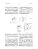 SYNTHETIC TRANSTAGANOLIDE AND BASILIOLIDE PRODUCTS, DERIVATIVES THEREOF,     AND SYNTHESIS METHODS THEREOF diagram and image