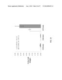 Methods and Compositions for the Recombinant Biosynthesis of N-Alkanes diagram and image