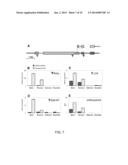 METHODS FOR INCREASING THE ANTHOCYANIN CONTENT OF CITRUS FRUIT diagram and image