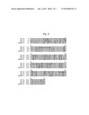 Novel Insecticidal Proteins and Methods for Their Use diagram and image