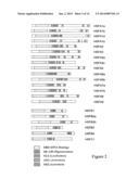 Plant Responses diagram and image