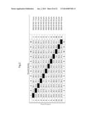 PLANTS WITH ALTERED ROOT ARCHITECTURE, RELATED CONSTRUCTS AND METHODS     INVOLVING GENES ENCODING PROTEIN PHOPHATASE 2C (PP2C) POLYPEPTIDES AND     HOMOLOGS THEREOF diagram and image