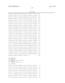 PLANTS WITH ALTERED ROOT ARCHITECTURE, RELATED CONSTRUCTS AND METHODS     INVOLVING GENES ENCODING PROTEIN PHOPHATASE 2C (PP2C) POLYPEPTIDES AND     HOMOLOGS THEREOF diagram and image