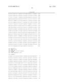 PLANTS WITH ALTERED ROOT ARCHITECTURE, RELATED CONSTRUCTS AND METHODS     INVOLVING GENES ENCODING PROTEIN PHOPHATASE 2C (PP2C) POLYPEPTIDES AND     HOMOLOGS THEREOF diagram and image