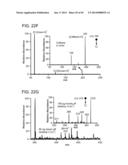 ION GENERATION USING WETTED POROUS MATERIAL diagram and image