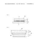 ORGANIC ELECTROLUMINESCENT DEVICES diagram and image