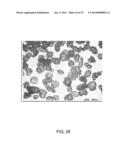 THIN FILM WITH NON-SELF-AGGREGATING UNIFORM HETEROGENEITY AND DRUG     DELIVERY SYSTEMS MADE THEREFROM diagram and image