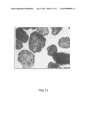 THIN FILM WITH NON-SELF-AGGREGATING UNIFORM HETEROGENEITY AND DRUG     DELIVERY SYSTEMS MADE THEREFROM diagram and image