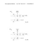 Dual-Port Measurements of Light Reflected from Micromirror Array diagram and image