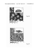 METHOD FOR FABRICATION OF LOCALIZED PLASMON TRANSDUCERS diagram and image