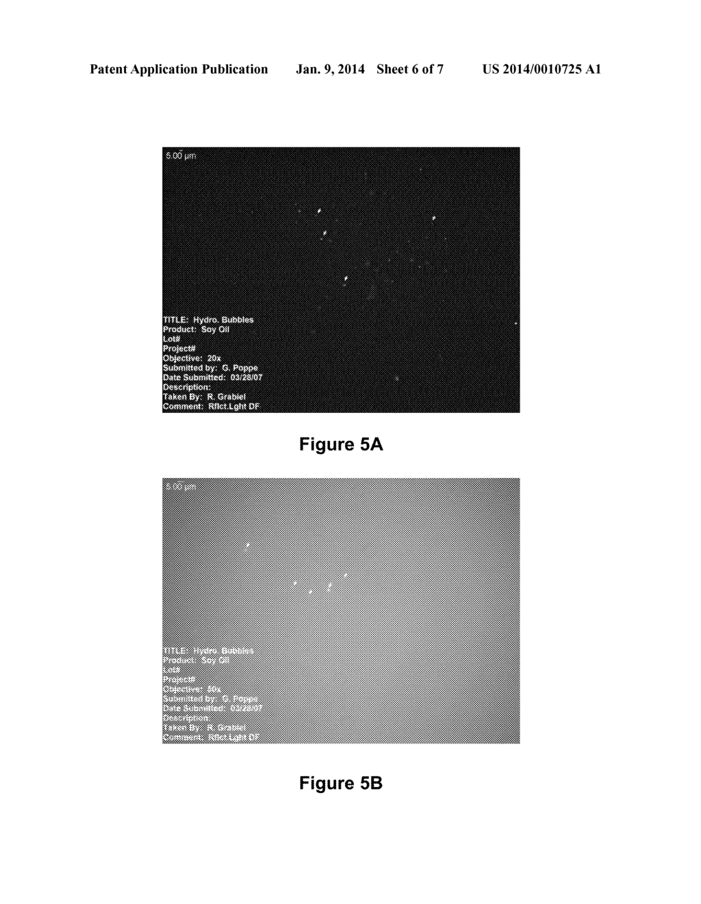 HIGH SHEAR APPLICATION IN PROCESSING OILS - diagram, schematic, and image 07