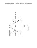 SULFATE-BASED ELECTROLYSIS PROCESSING WITH FLEXIBLE FEED CONTROL, AND USE     TO  CAPTURE CARBON DIOXIDE diagram and image