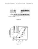 METHODS FOR REGULATING PROTEIN FUNCTION IN CELLS IN VIVO USING SYNTHETIC     SMALL MOLECULES diagram and image