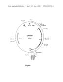 ALBUMIN FUSION PROTEINS diagram and image