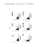 ANTI CD37 ANTIBODIES diagram and image