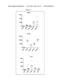 Non-Coding Immunomodulatory DNA Construct diagram and image