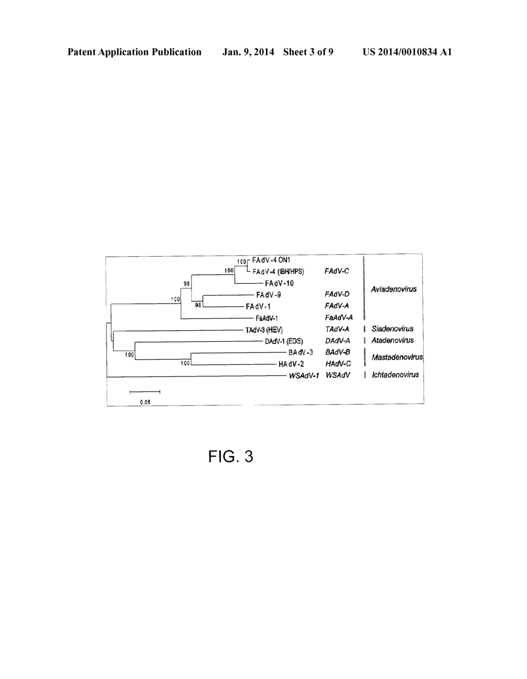 NON-PATHOGENIC SEROTYPE 4 FOWL ADENOVIRUS (FADV-4) AND VIRAL VECTOR     THEREOF - diagram, schematic, and image 04