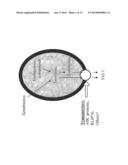 LIPOSOMES FOR PROTECTION AGAINST TOXIC COMPOUNDS diagram and image