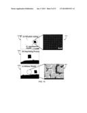 SUPERHYDROPHOBIC AND SUPEROLEOPHOBIC NANOSURFACES diagram and image