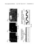 SUPERHYDROPHOBIC AND SUPEROLEOPHOBIC NANOSURFACES diagram and image