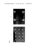 METAL-BASED PARTICLE ASSEMBLY diagram and image