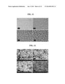 COMPOSITION FOR PREPARING SEPARATOR, METHOD FOR PREPARING SEPARATOR, AND     ELECTROCHEMICAL DEVICE HAVING SEPARATOR PREPARED THEREFROM diagram and image