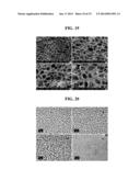 COMPOSITION FOR PREPARING SEPARATOR, METHOD FOR PREPARING SEPARATOR, AND     ELECTROCHEMICAL DEVICE HAVING SEPARATOR PREPARED THEREFROM diagram and image