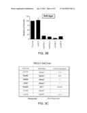 Methods Of Predicting Response To JNK Inhibitor Therapy diagram and image