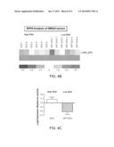 Methods Of Predicting Response To JNK Inhibitor Therapy diagram and image