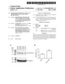 MYOSIN BINDING PROTEIN-C FOR USE IN METHODS RELATING TO DIASTOLIC HEART     FAILURE diagram and image