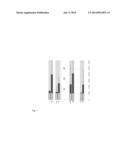 SUBSTITUTED     3-(BIPHENYL-3-YL)-8,8-DIFLUORO-4-HYDROXY-1-AZASPIRO[4.5]DEC-3-EN-2-ONES     FOR THERAPY diagram and image