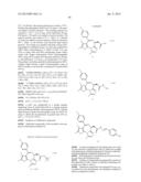 Compositions and Methods for Treating Leukemia diagram and image