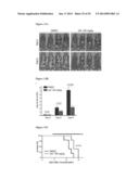 Compositions and Methods for Treating Leukemia diagram and image