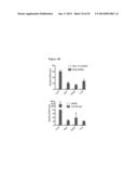 Compositions and Methods for Treating Leukemia diagram and image