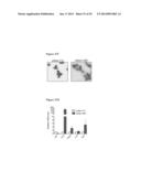 Compositions and Methods for Treating Leukemia diagram and image