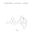 TRANSITION METAL COMPLEXES OF A BIS[THIOHYDRAZIDE AMIDE] COMPOUND diagram and image