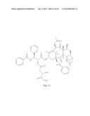 TRANSITION METAL COMPLEXES OF A BIS[THIOHYDRAZIDE AMIDE] COMPOUND diagram and image