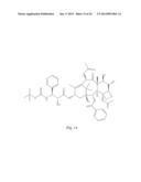 TRANSITION METAL COMPLEXES OF A BIS[THIOHYDRAZIDE AMIDE] COMPOUND diagram and image