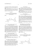 NOVEL COMPOUNDS, ISOMER THEREOF, OR PHARMACEUTICALLY ACCEPTABLE SALTS     THEREOF AS VANILLOID RECEPTOR ANTAGONIST; AND PHARMACEUTICAL COMPOSITIONS     CONTAINING THE SAME diagram and image